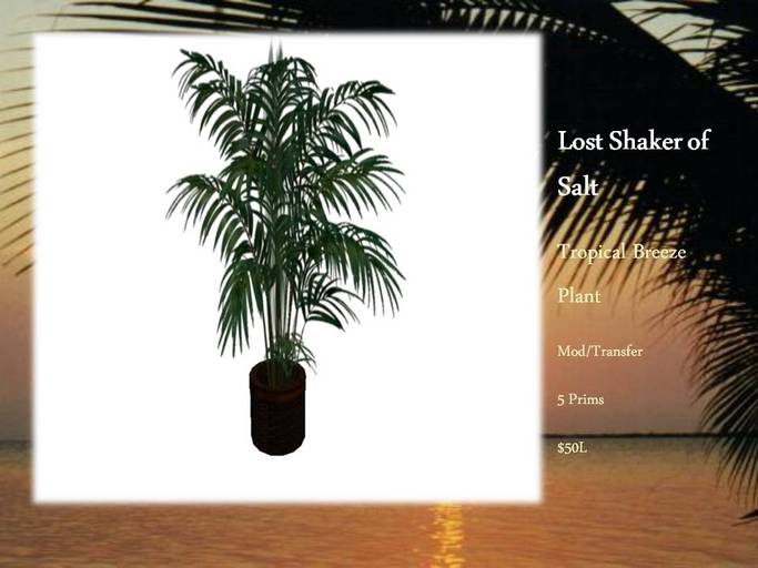 LS Tropical Breeze Plant