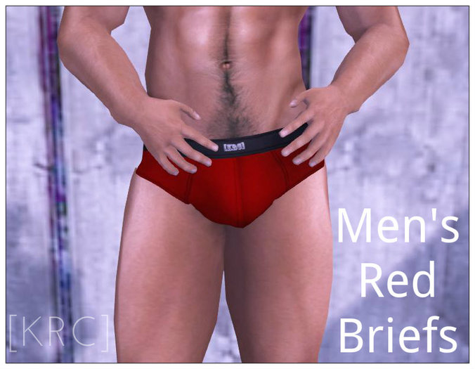 [KRC] Men's Mesh Briefs