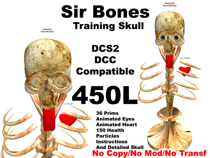 Sir Bones  Training