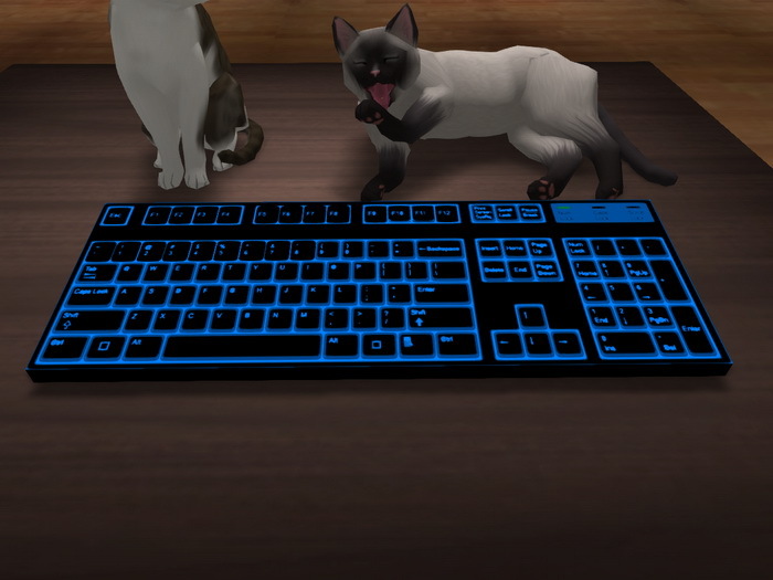 Tintable Backlit Keyboard w Typing Sound