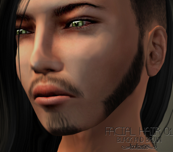 =kk= Facial Hair 01