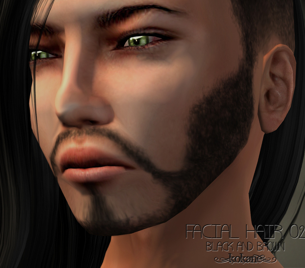 =kk= Facial Hair 02