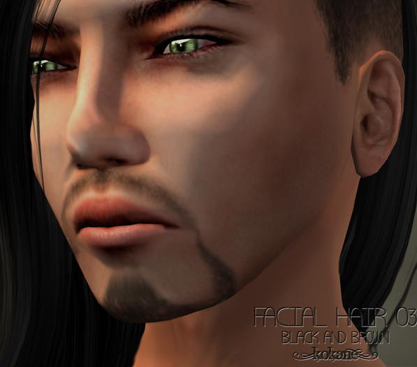=kk= Facial Hair 03