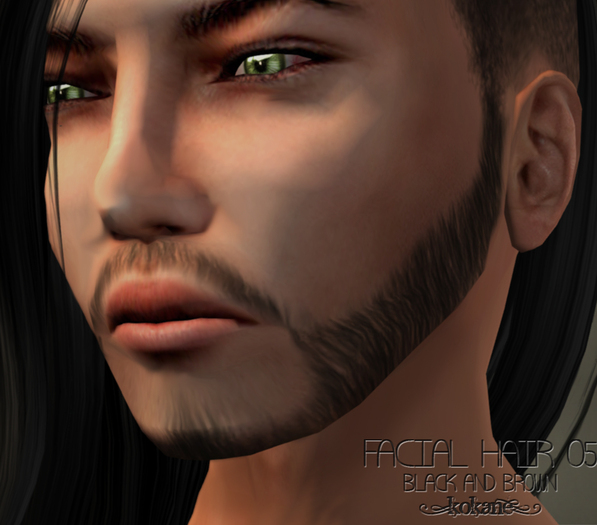 =kk= Facial Hair 05