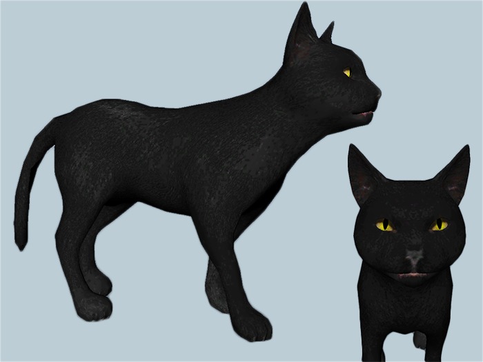Black Cat - Mesh - Full Perm