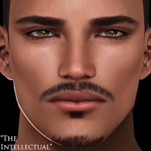 Labyrinth - Silver Skin (Light) - The Intellectual