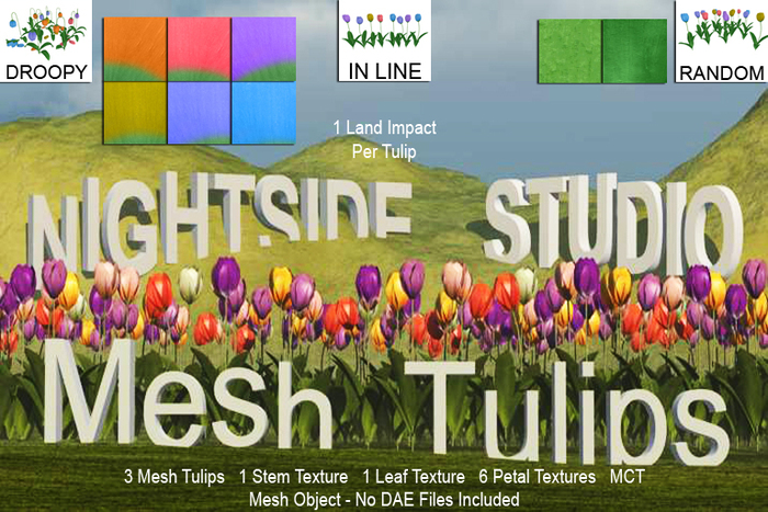 NIGHTSIDE STUDIO PETUNIAS SET PURPLE I