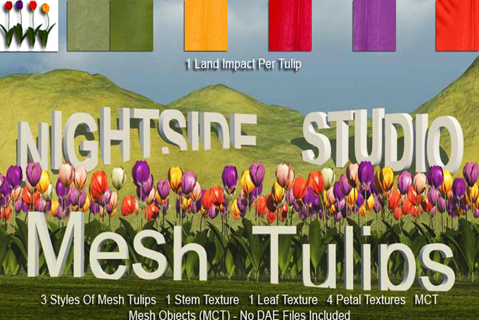 DEMO NIGHTSIDE MESH TULIP TEXTURE SET 2 + 3 TULIP CLUSTERS DEMO