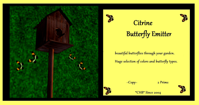 Butterfly Rock Red Purple Boxed