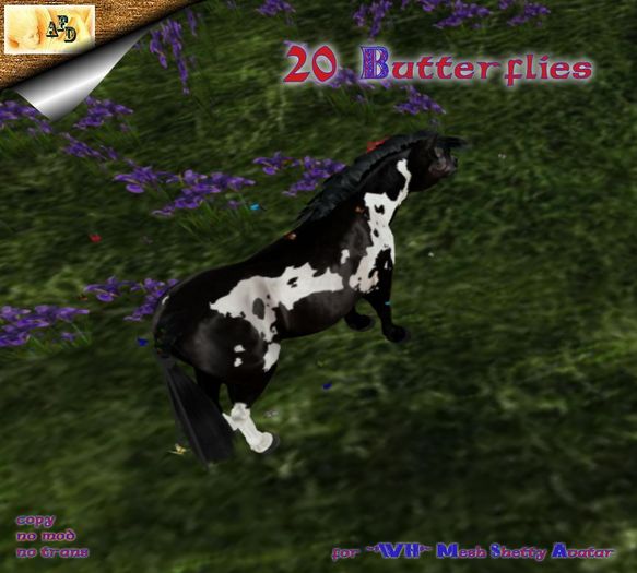 **AFD** Shetty Butterflies