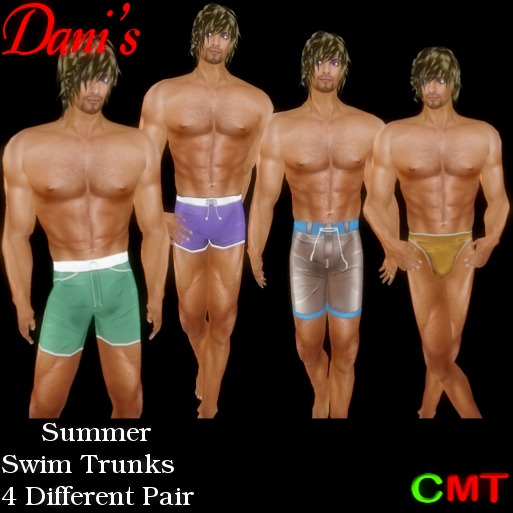 *Dani's* Summer Swim Trunks