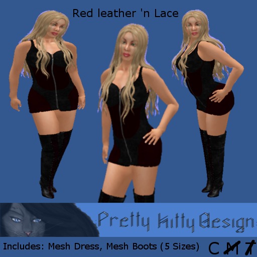 :Pretty Kitty Design: Red Leather n' Lace