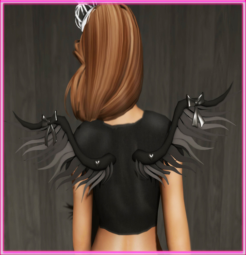 *MB* Black wings  boxed