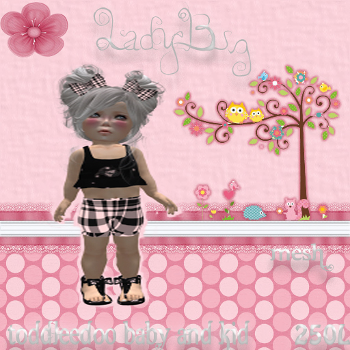 Petite Boutique~ Ladybug Boxed