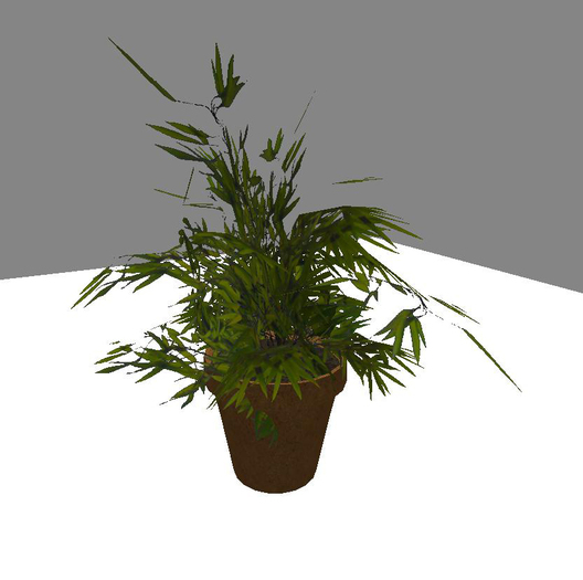 Potted Bush 2 