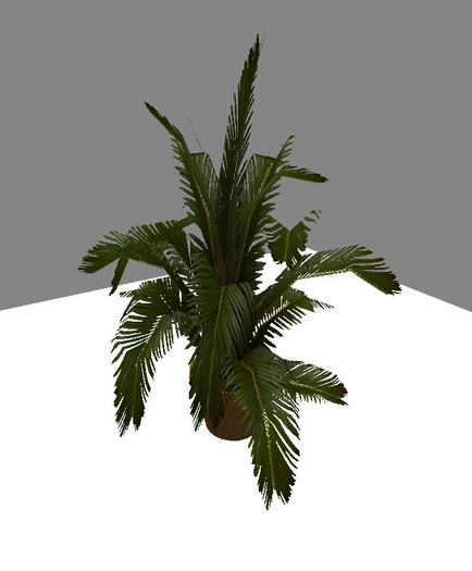 Potted Palm Tree 