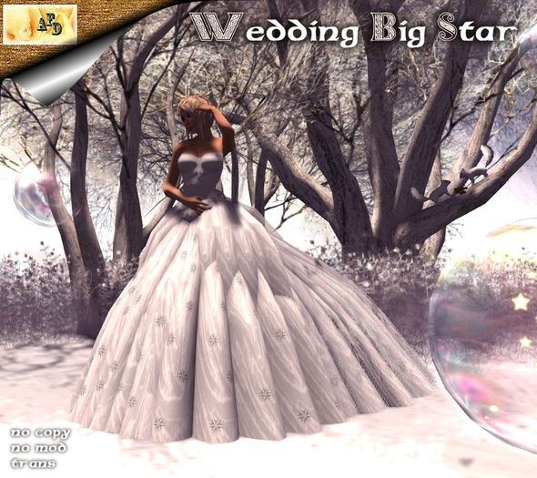 **AFD** Wedding Big Star V2