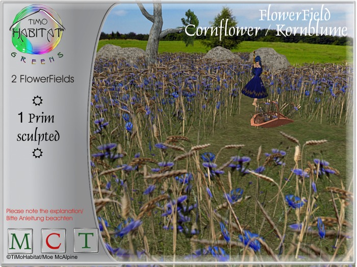 TiMoGreens  2 Flowerfields Cornflower Kornblume