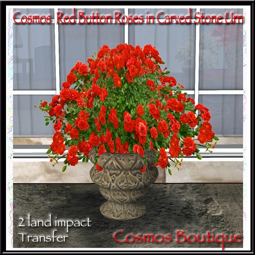 Cosmos Red Button Roses in Carved Stone Urn(BOX)