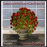 Cosmos Scarlet Red Roses in Carved Stone Urn (BOX)