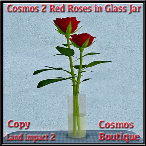 Cosmos 2 Red Roses in Glass Jar (mesh) BOX
