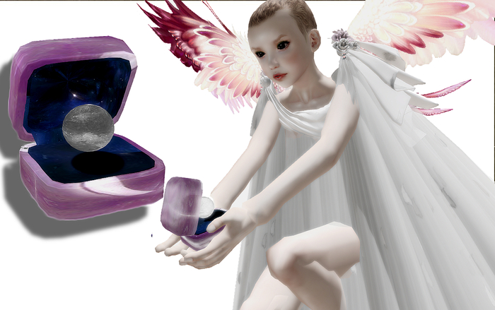 **My Musicbox Swan Lake**