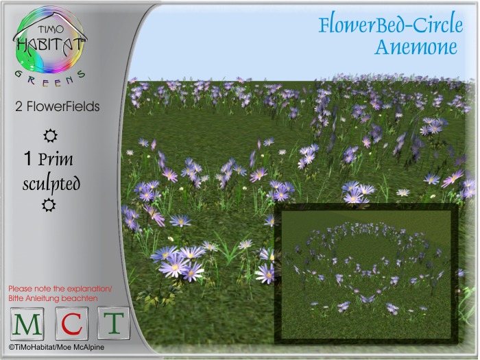TiMoGreens 2 FlowerBeds Circle  Anemone