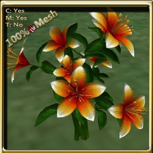 LW_ Lily Flower Orange 2