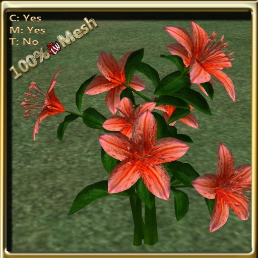 LW_ Lily Flower Orange 4