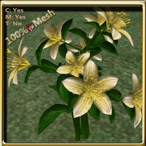 LW_LilyFlowerYellow2