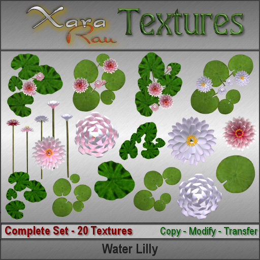 XR Textures - Flowers - Water Lilly by Xara Rau