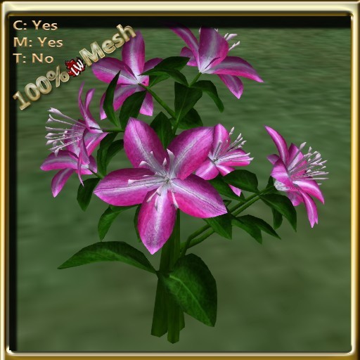 LW_ Lily Flower Pink 4