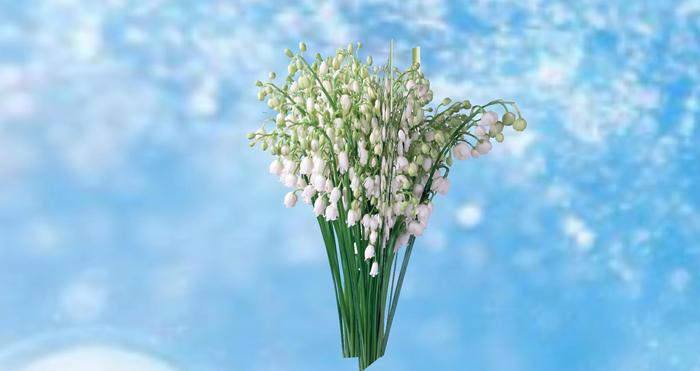 bouquet muguet4