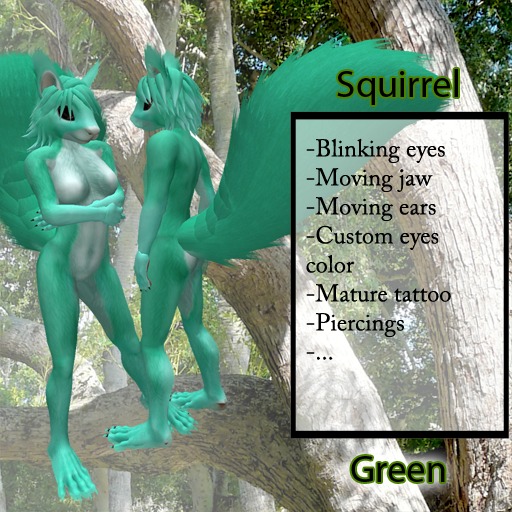 Furry Squirrel - 