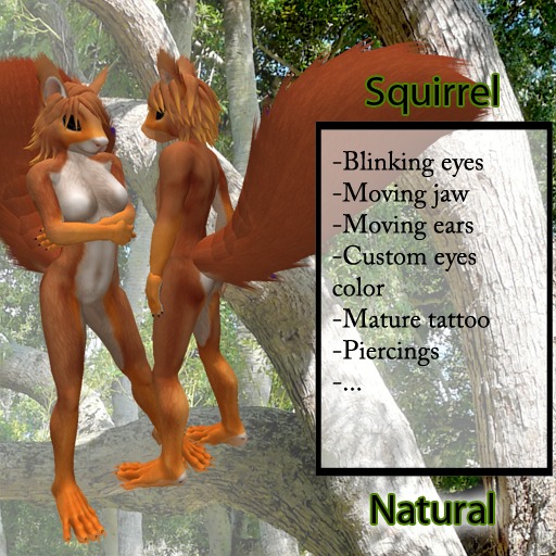 Furry Squirrel - Natural