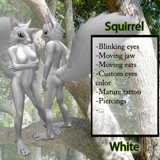 Furry Squirrel - 