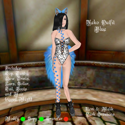 Neko Outfit Blue