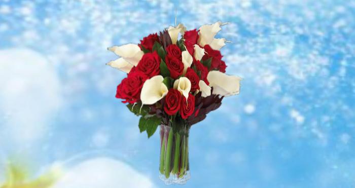 vase rouge blanc