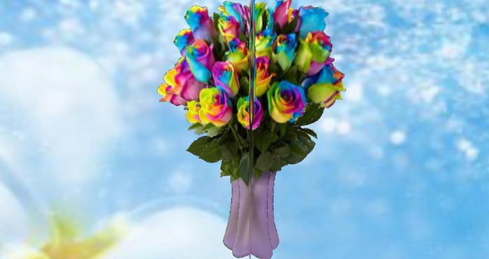 roses rainbow