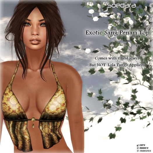 ~Soedara~ Exotic Sang Penari Top {Gold}