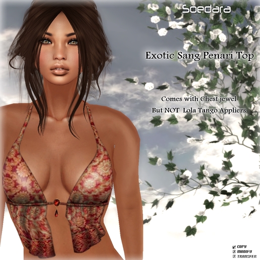 ~Soedara~  Exotic Sang Penari Top {Red}