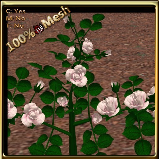 LW_Rose Bush Mesh White 1