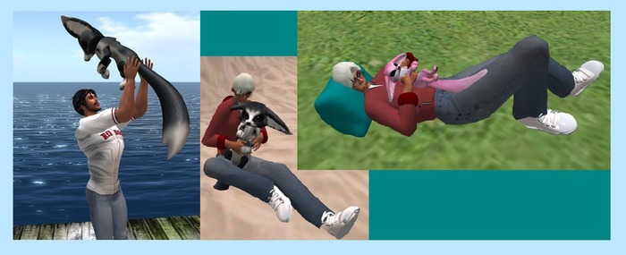 Wingsong Animation HUD - Fennux Cuddle Box