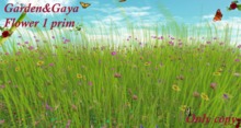 prairie haute mixte