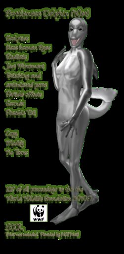 Bottlenose Dolphin Wet Female (Boxed)