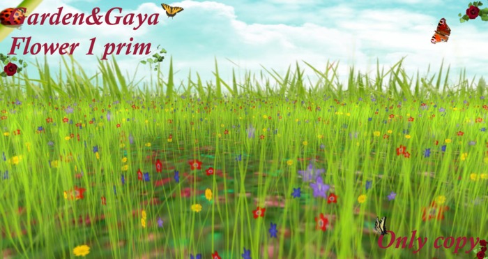 herbage multicolore carre