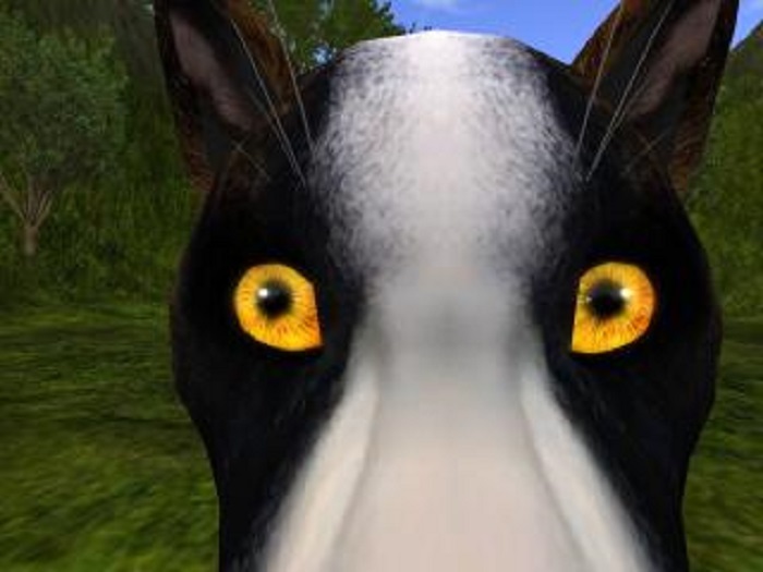 Texture Applier Kit - RedGold Eyes