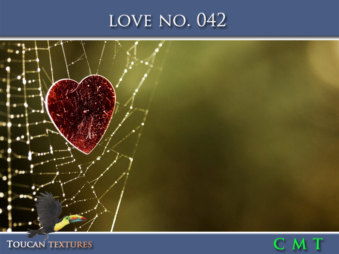 [Toucan Textures] Love No. 042