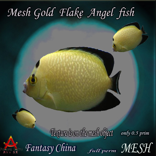 Mesh Gold Flake Angel fish Full perm 