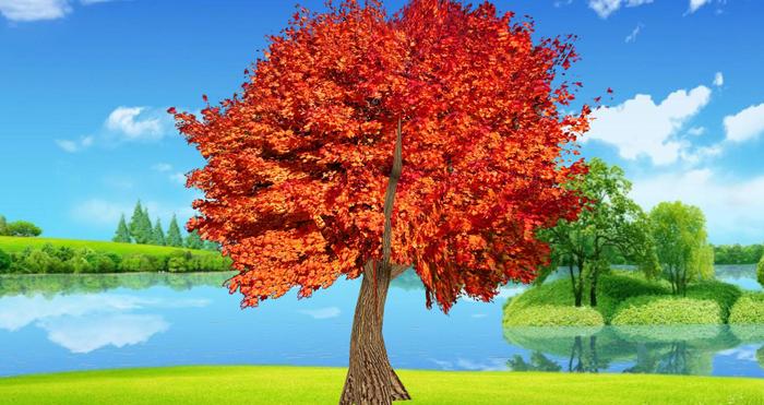 arbre rouge